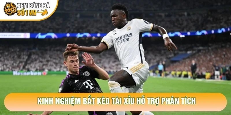 Kinh Nghiệm Bắt Kèo Tài Xỉu Chuẩn Xác Từ Chuyên Gia